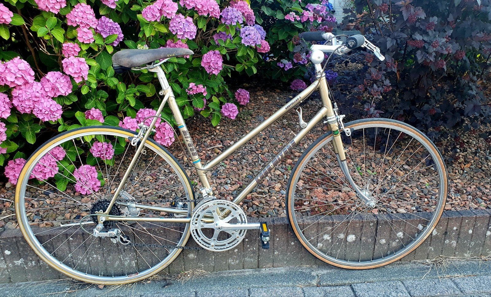 Koga miyata traveller L fr 56 legendarische vakantiefiets, Velgrem, Ophalen, Overige merken, 53 tot 56 cm