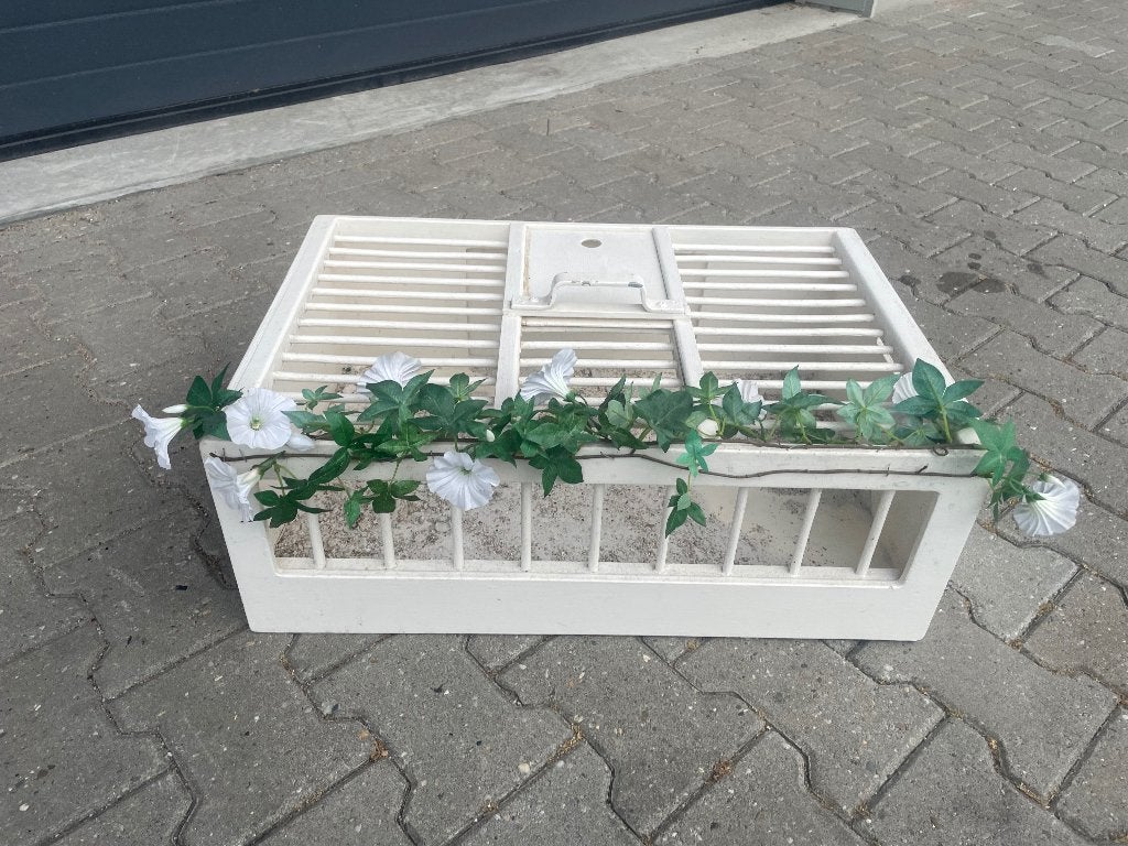 Super mooie witte BruidsDuivenmand!!!!, Dieren en Toebehoren, Geslacht onbekend, Postduif
