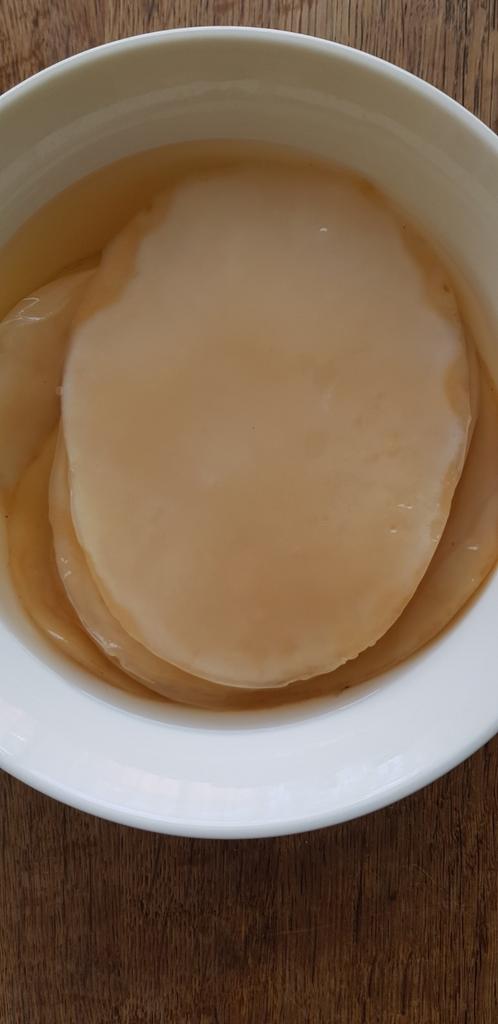 Scoby kombucha, Ophalen