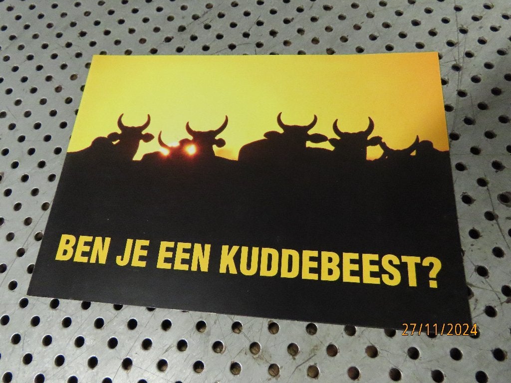 Folder - Reclame Buell American Motorcycles o.a. Ulysses, Ophalen of Verzenden, Zo goed als nieuw, Motoren