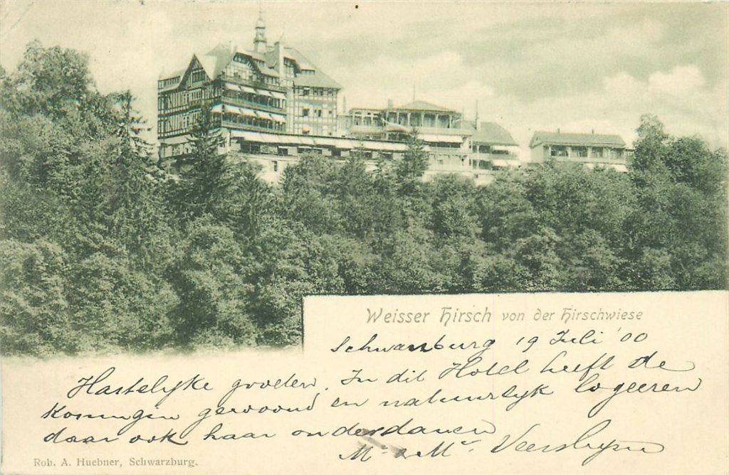701-291-003 Weisser Hirsch, Ophalen of Verzenden, Voor 1920, Duitsland