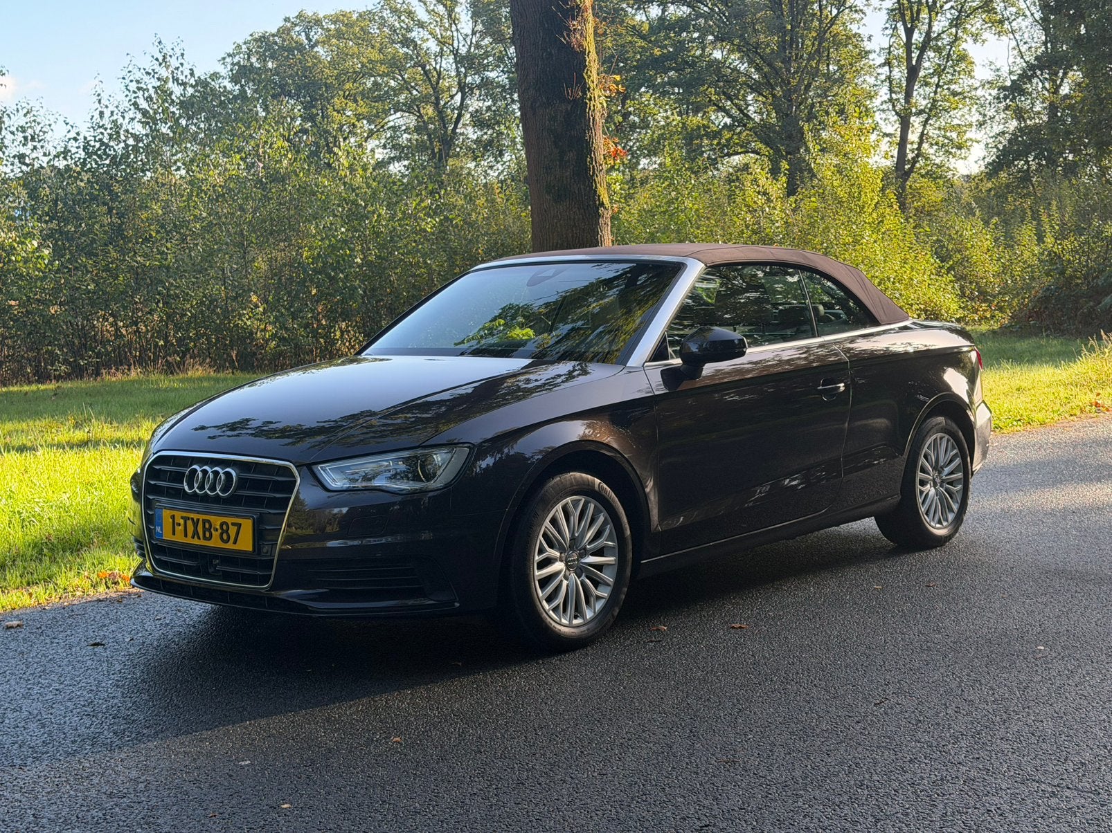 Audi A3 1.4 Tfsi Ambition Cabriolet S-tronic AUT Vol opties, Dealer onderhouden, Beige, 4 cilinders, 4 stoelen