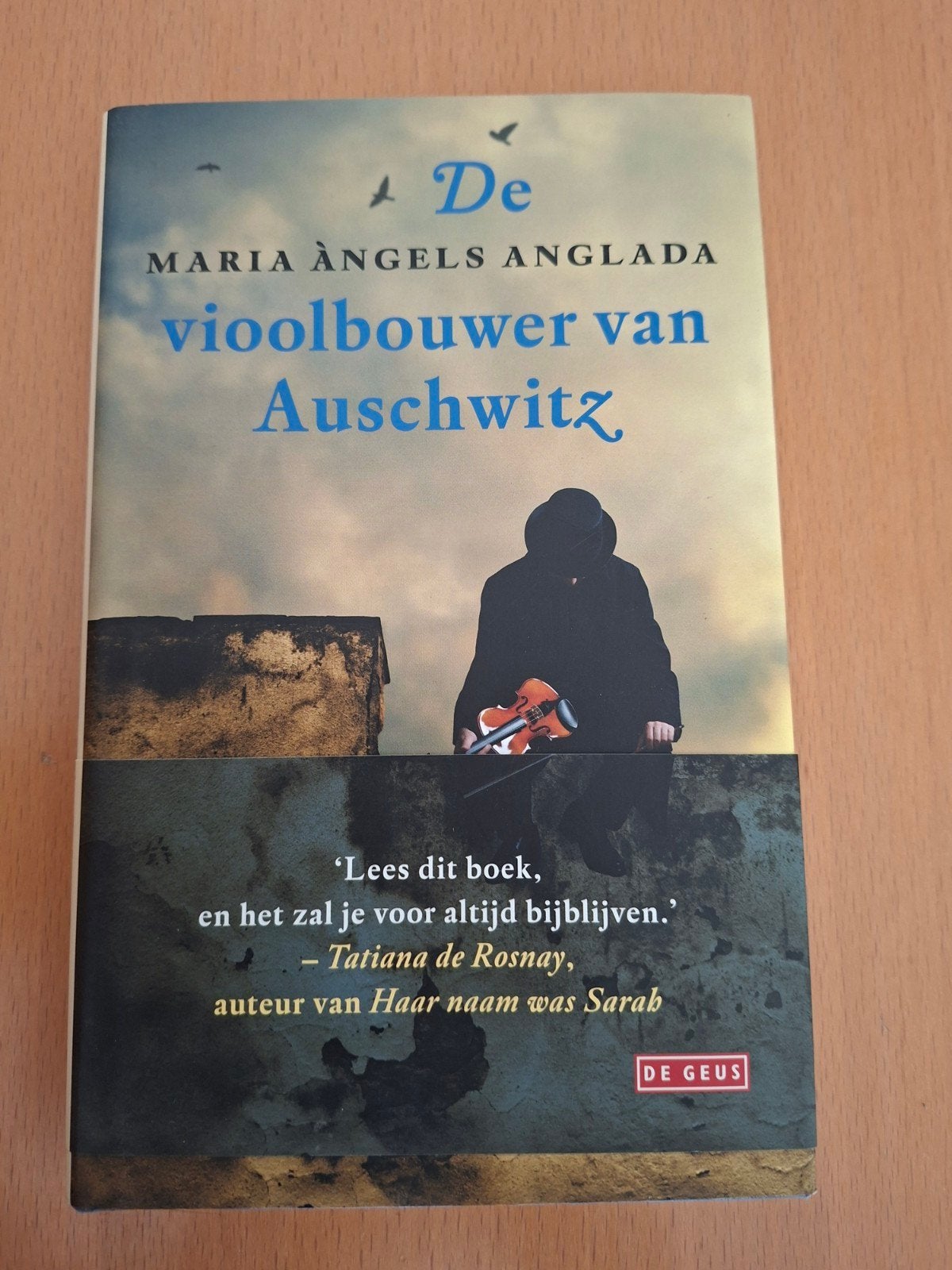 De vioolbouwer van Auschwitz - Maria Àngels Anglada, Ophalen of Verzenden, Gelezen, Maria Àngels Anglada, Europa overig
