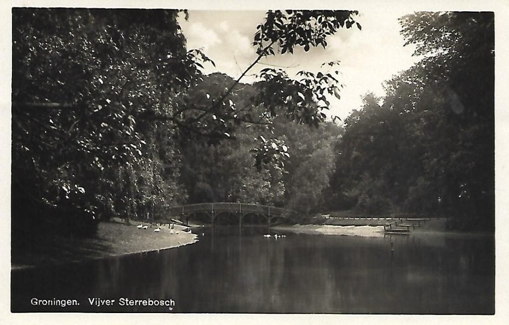 Groningen- -Vijver Sterrebosch., Verzenden, 1920 tot 1940, Gelopen, Groningen