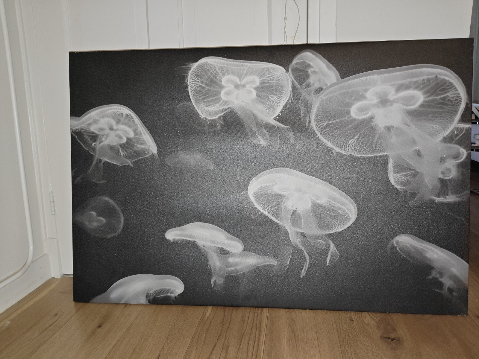 groot zwart/wit jellyfish/kwallen schilderij 118  78 cm, Huis en Inrichting, Ophalen, Schilderij