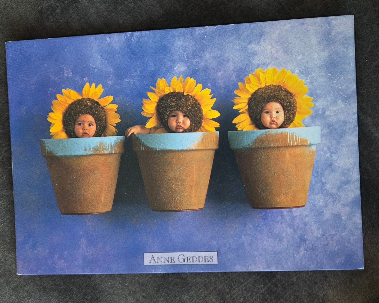 Anne Geddes - Sunflower Trio, Verzenden, 1980 tot heden, Ongelopen, Kinderen