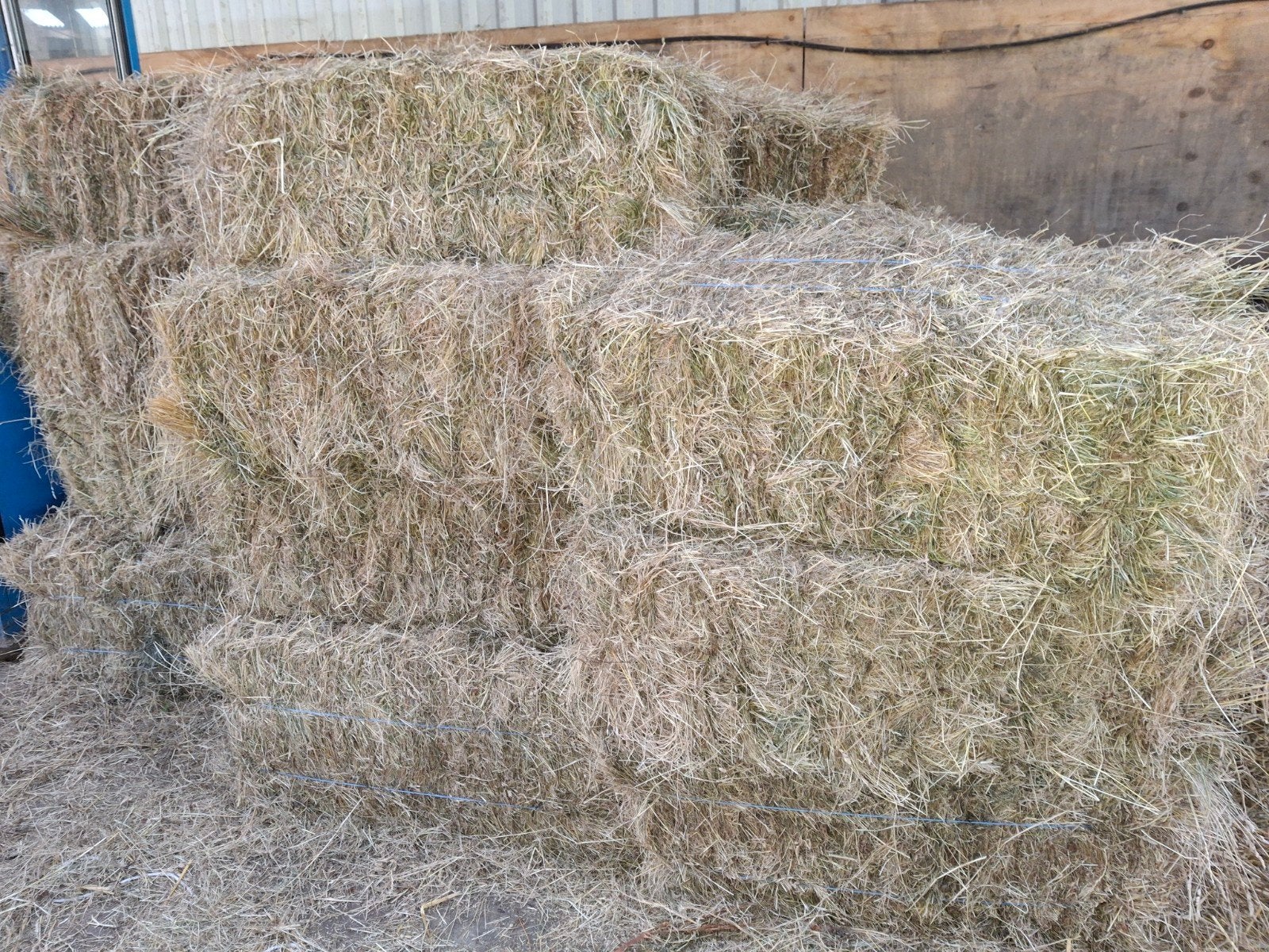 50 heerlijke baaltjes paarden hooi, Ophalen of Verzenden, Vee