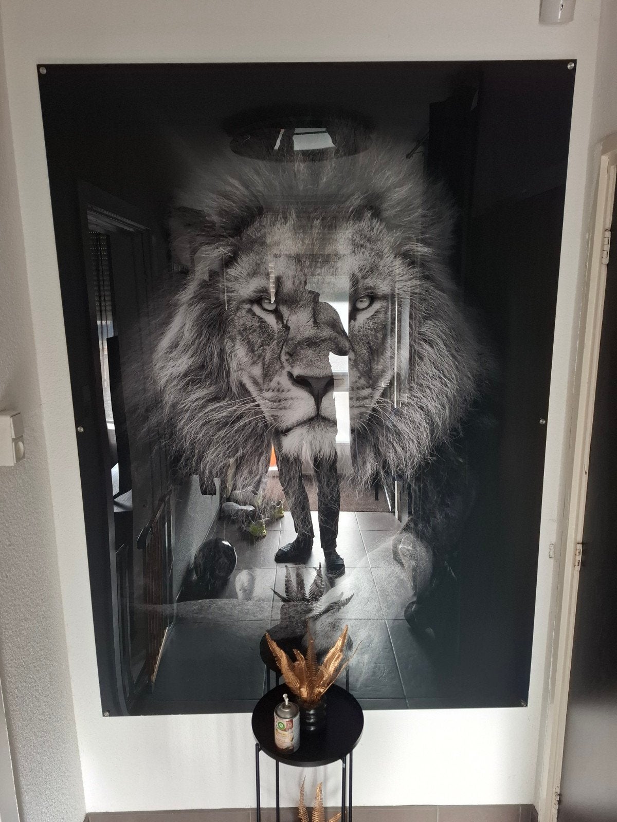 Leeuw op plexiglas - 130x180 cm met ophangpunten, Ophalen, Gebruikt, 125 cm of meer, Print
