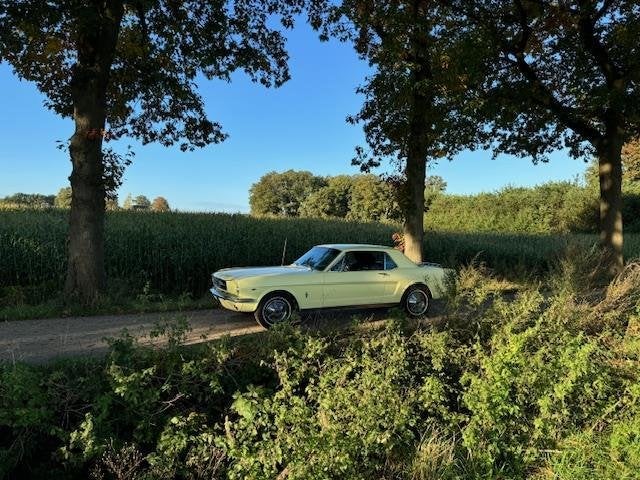 Ford USA Mustang Coupe 289cui V8 Automaat 1965, foto 12