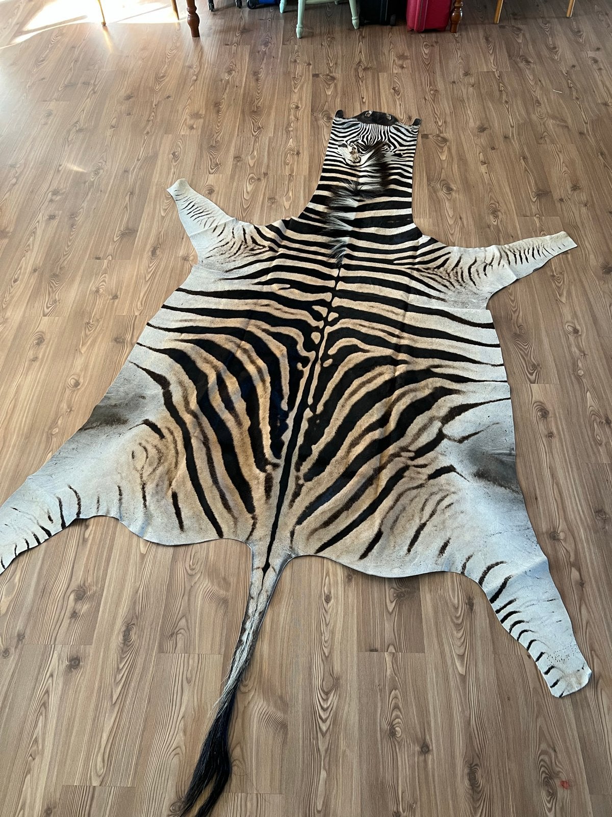 Prachtige Zebra huid - NIEUW - TOP A GRADE in prijs verlaagd, 150 tot 200 cm, Ophalen of Verzenden, Overige vormen, Beige