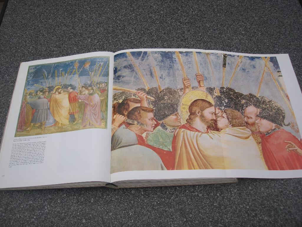 20.000 Jaar schilderkunst, kleurboek der mensheid, Ophalen of Verzenden, Gelezen, Schilder- en Tekenkunst