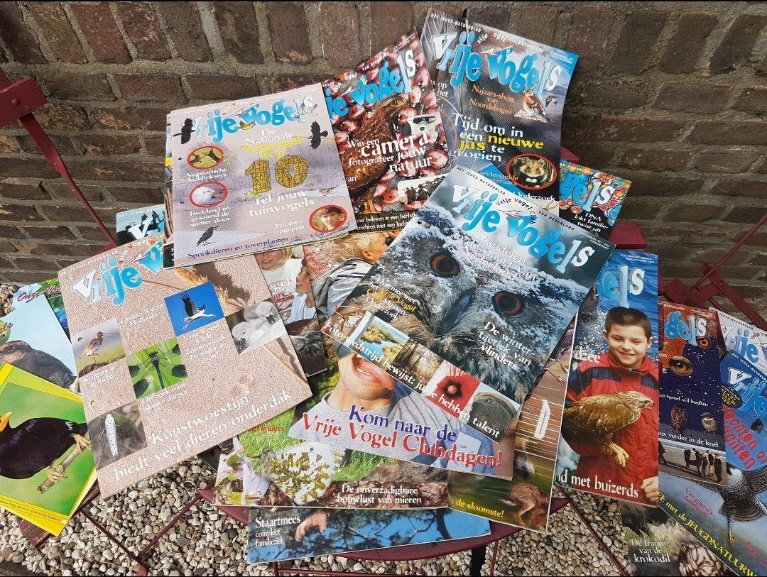 Magazines 31 x vrije vogels 4 x onze vogels 1 x vogelvreugd, Ophalen of Verzenden, Zo goed als nieuw, Vogels