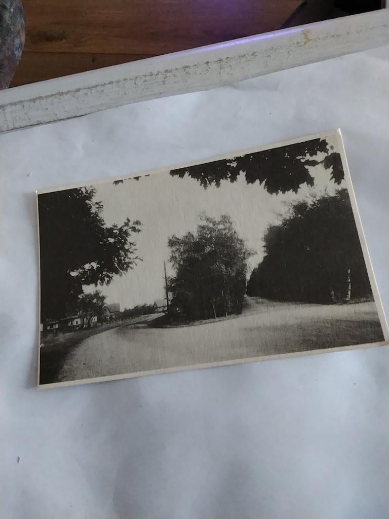 ERMELO  K0NINGIN EMMALAAN. 17, Ophalen of Verzenden, Voor 1920, Gelderland
