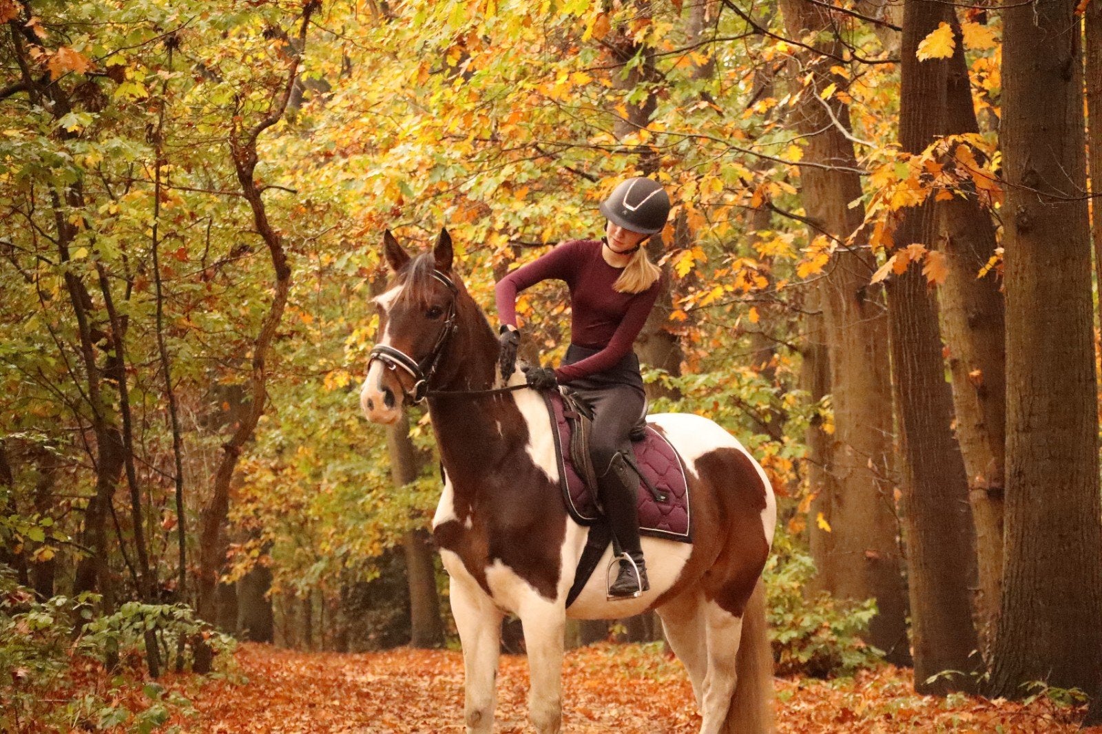 Leasepaard gezocht !!, Diensten en Vakmensen, Dieren | Paarden | Verzorging, Oppas en Les