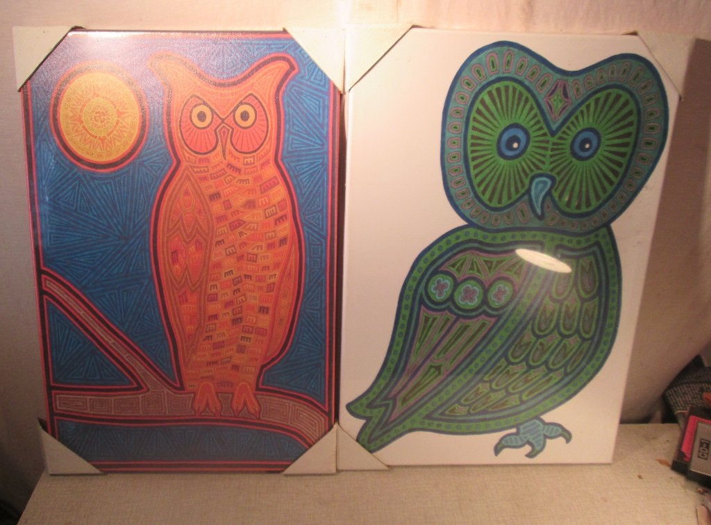 2 Prachtige Nieuwe Moderne Artprints - Uilen - 60x40, Ophalen of Verzenden, Nieuw, Minder dan 50 cm, Print