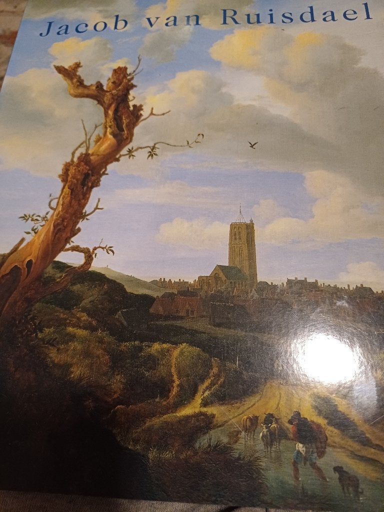 JACOB VAN RUISDAEL, Ophalen of Verzenden, Zo goed als nieuw