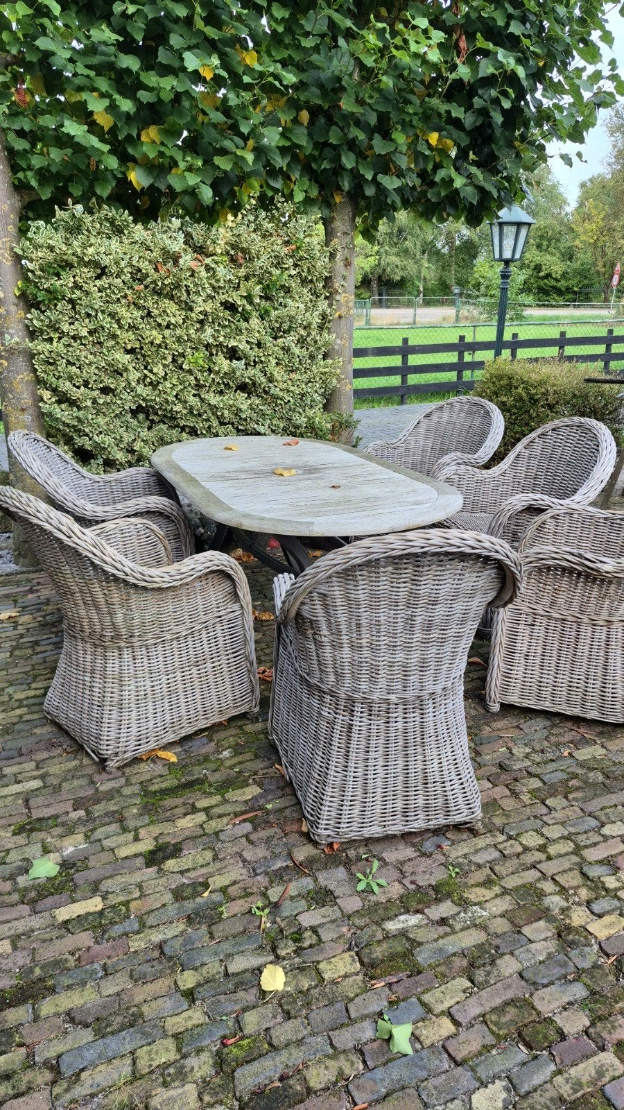 gratis ophalen te halen kan nog een ronde mee 8 stoelen en 1, Tuin en Terras, Tuinsets en Loungesets, Ophalen of Verzenden, Gebruikt