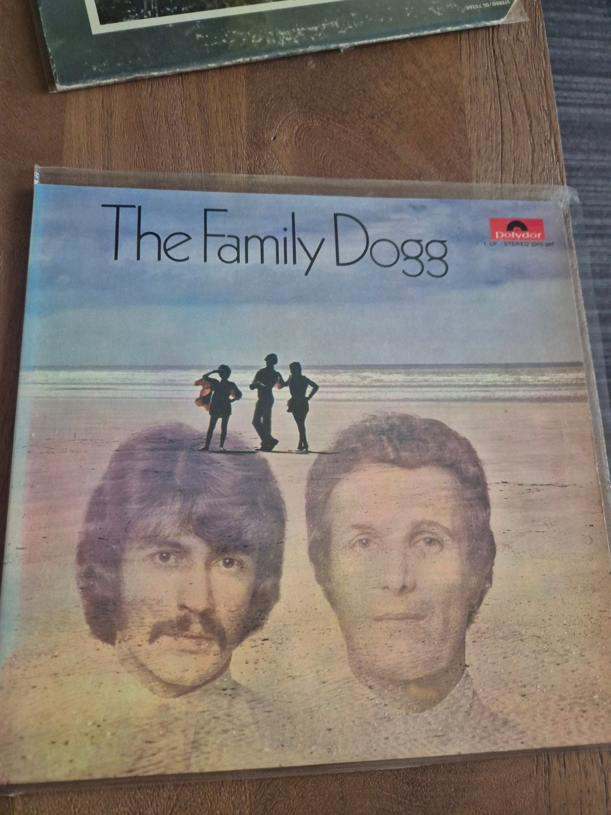 Family Dogg, Cd's en Dvd's, Ophalen of Verzenden, LP