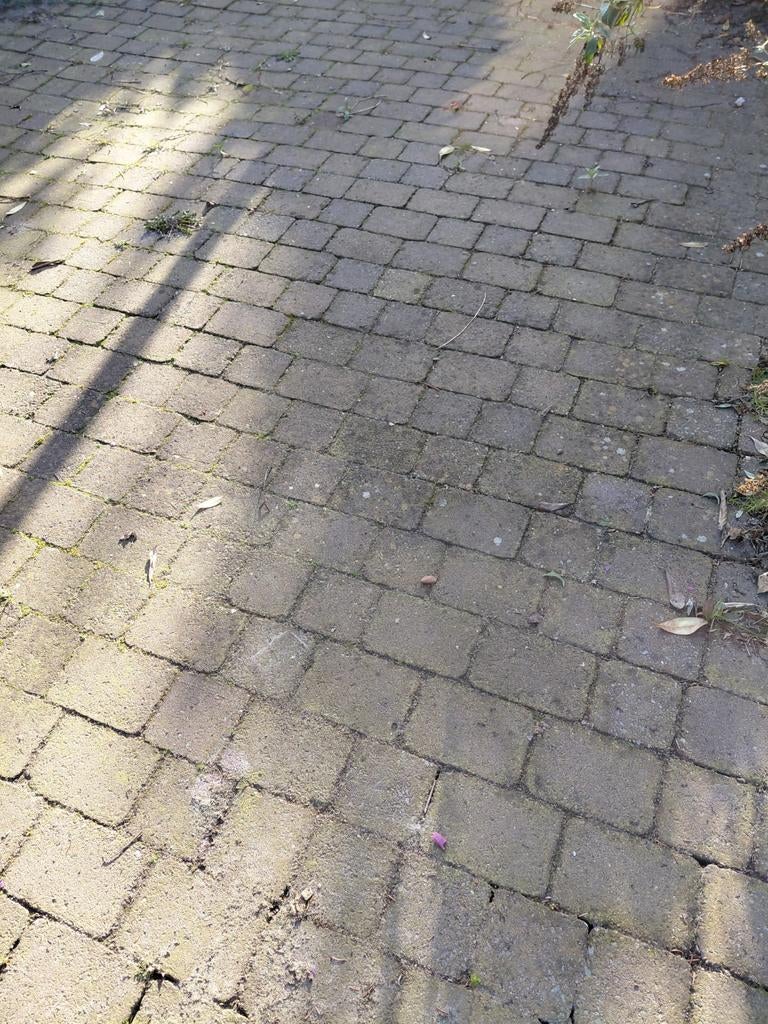 Gratis bestrating 20 m² rood wild verband, Ophalen of Verzenden, Beton, 10 m² of meer, Overige typen