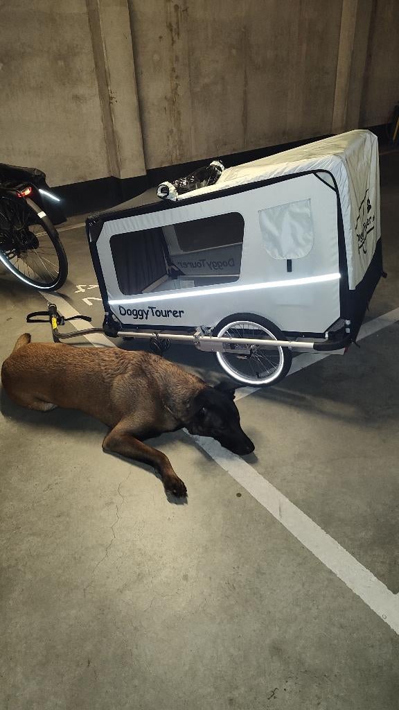 Fietsaanhanger voor grote hond, tot 80 kg, Ophalen, 80 kg of meer, Zo goed als nieuw, Hondenkar
