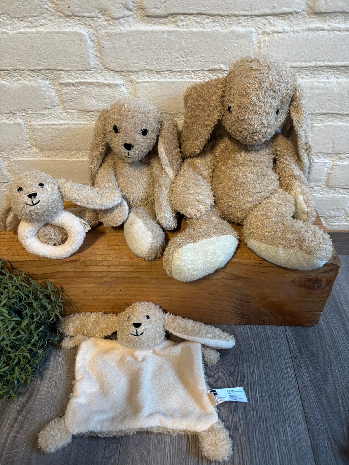 HEMA ; diverse konijn knuffels beige /ecru met grove krul, Hema, Overige karakters, Konijn, Ophalen of Verzenden