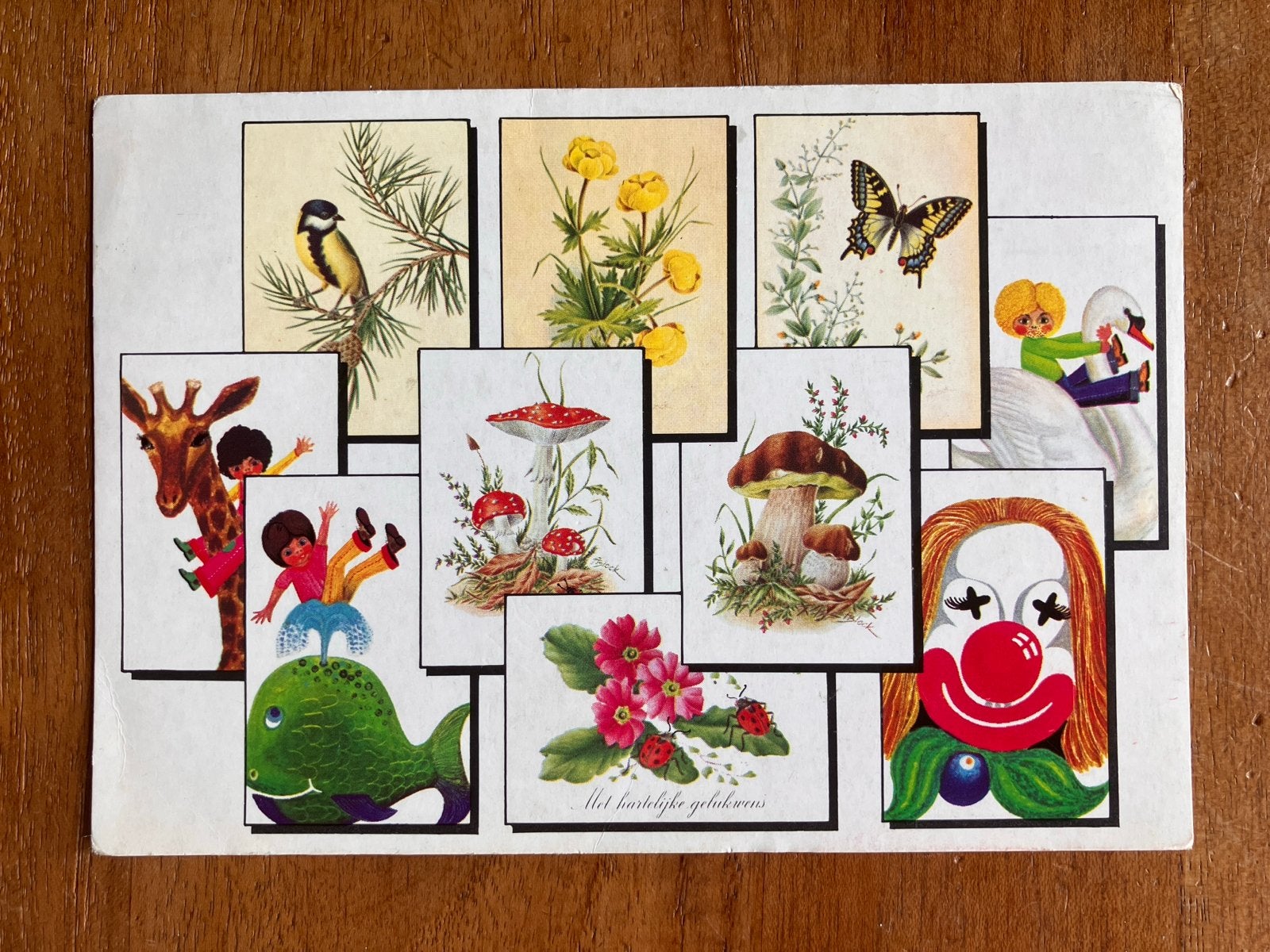 Stichting De Opbouw, Ophalen of Verzenden, 1960 tot 1980, Gelopen, Kinderen