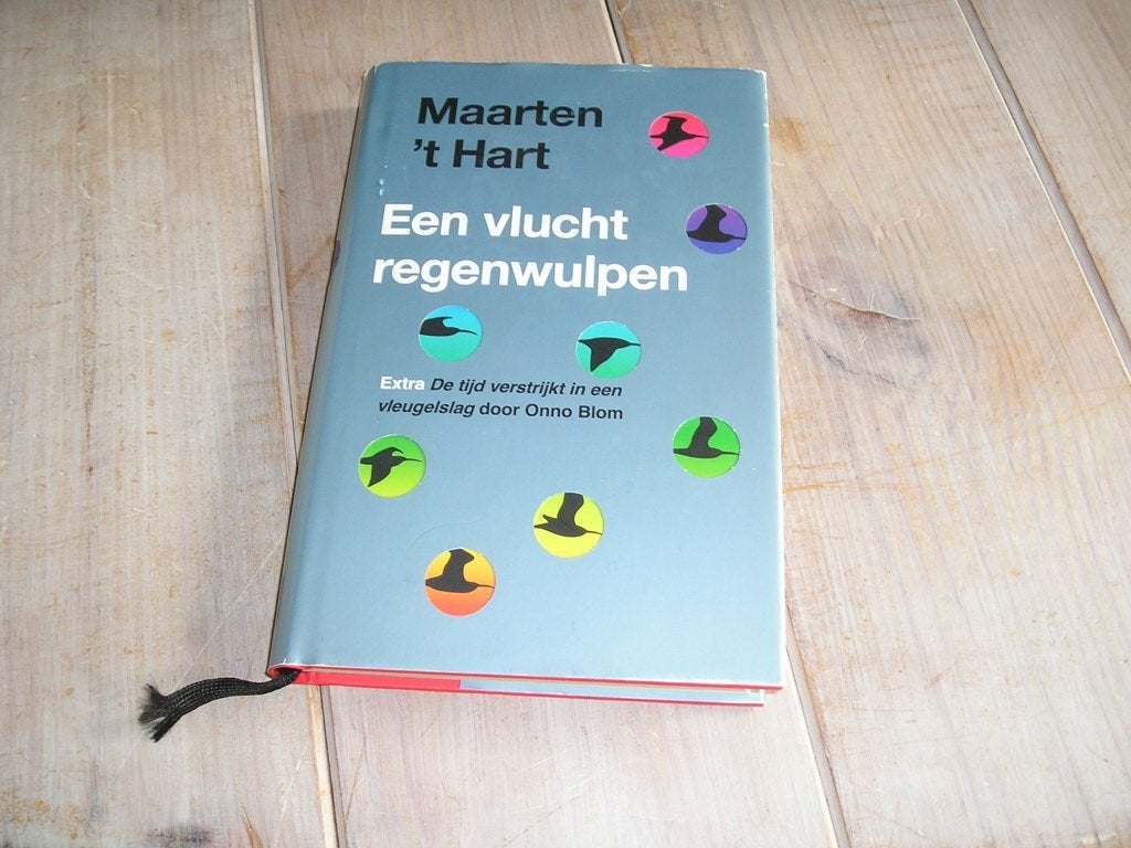 Maarten 't Hart - Een vlucht regenwulpen, Ophalen of Verzenden, Gelezen, Maarten 't Hart, Nederland