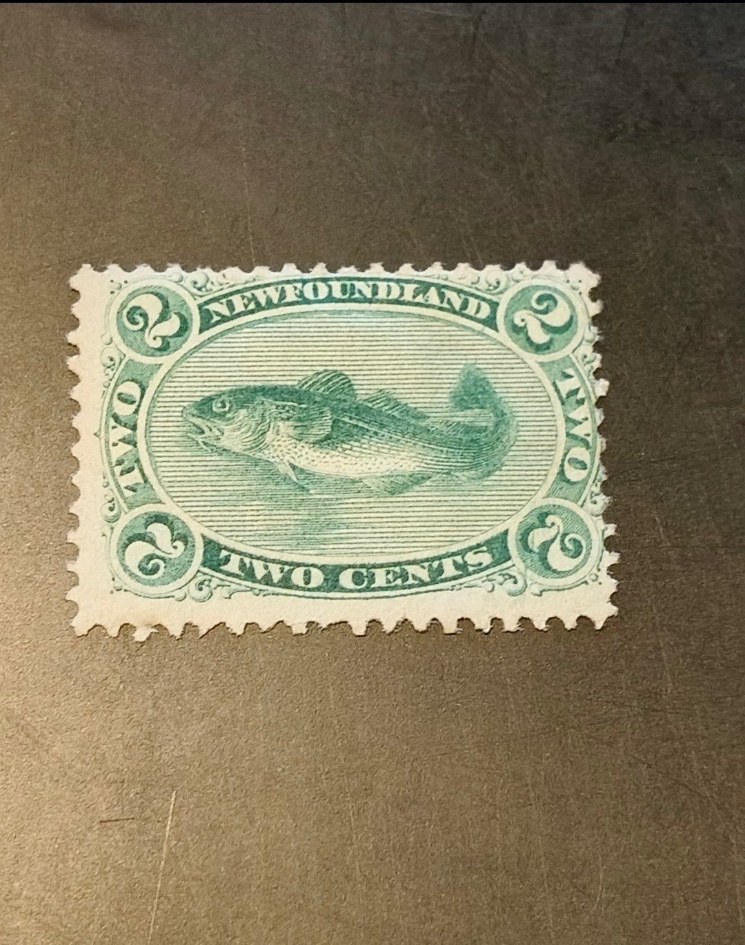 Newfoundland 2 cents 1865/71, Sg 25, Postzegels en Munten, Ophalen of Verzenden, Noord-Amerika