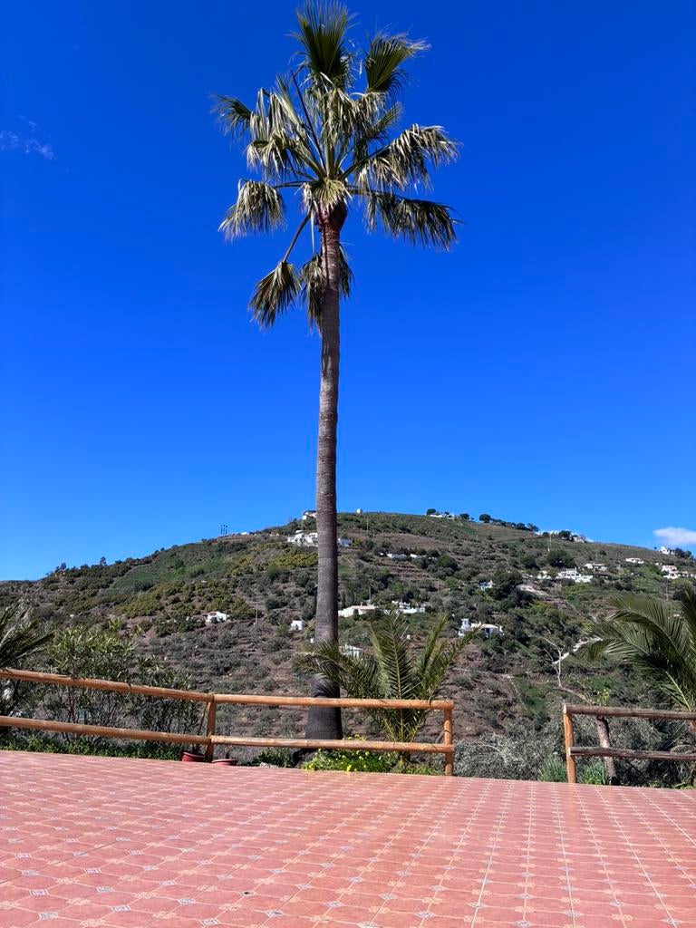 Te huur 2 appartementen Compéta Costa del 🌞 Malaga 🇪🇸, Vakantie, Eigenaar, Tuin, In bergen of heuvels, Landelijk