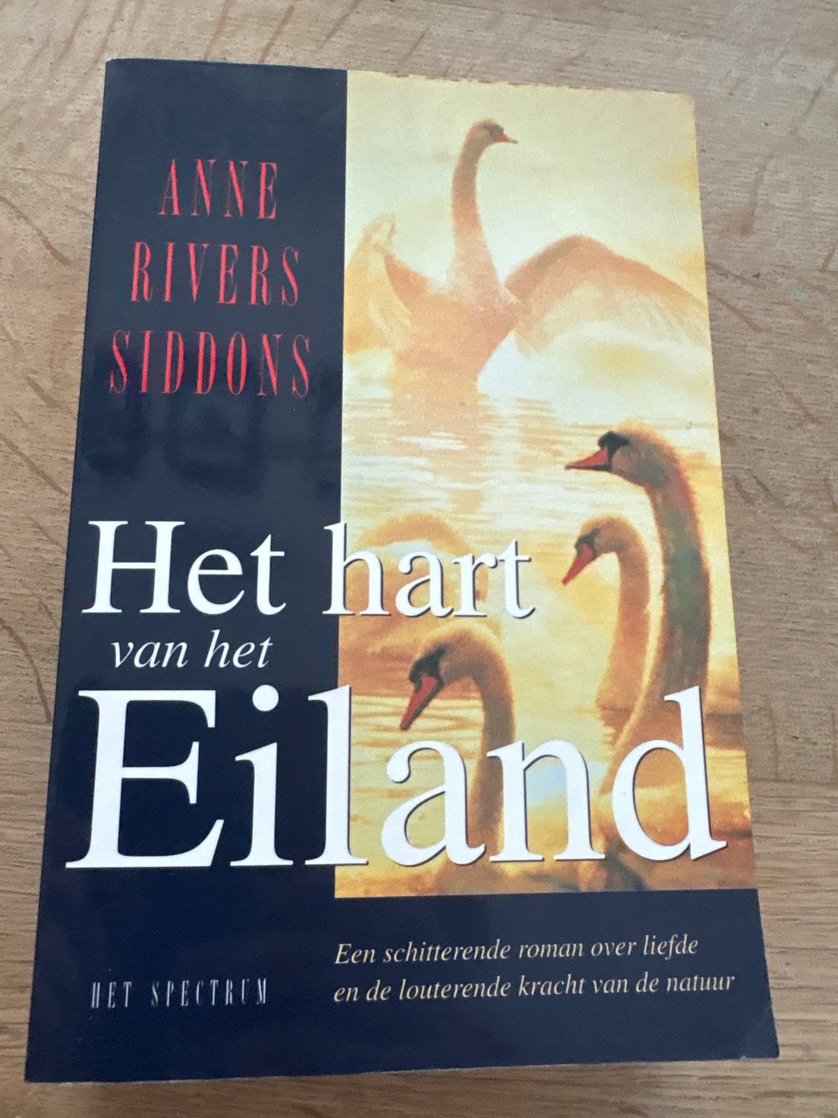 Het hart van het Eiland - Anne Rivers Siddons, Boeken, Ophalen of Verzenden, Gelezen, Europa overig