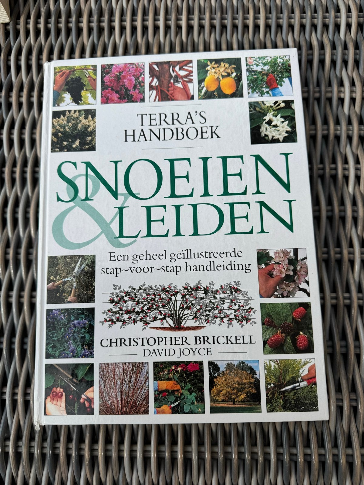 Terra's Handboek Snoeien & Leiden - Tuinieren, Ophalen of Verzenden, Gelezen, Tuinieren en Tuinplanten