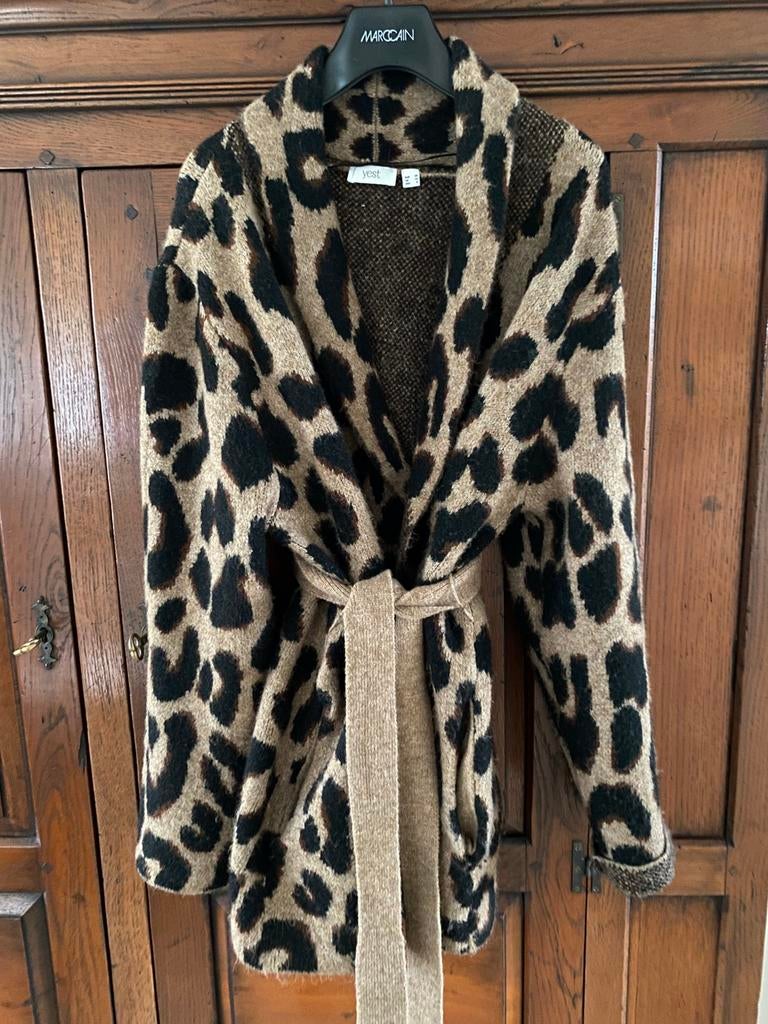 Yest dames vest maat 40, Ophalen of Verzenden, Zo goed als nieuw, Maat 38/40 (M), Overige kleuren