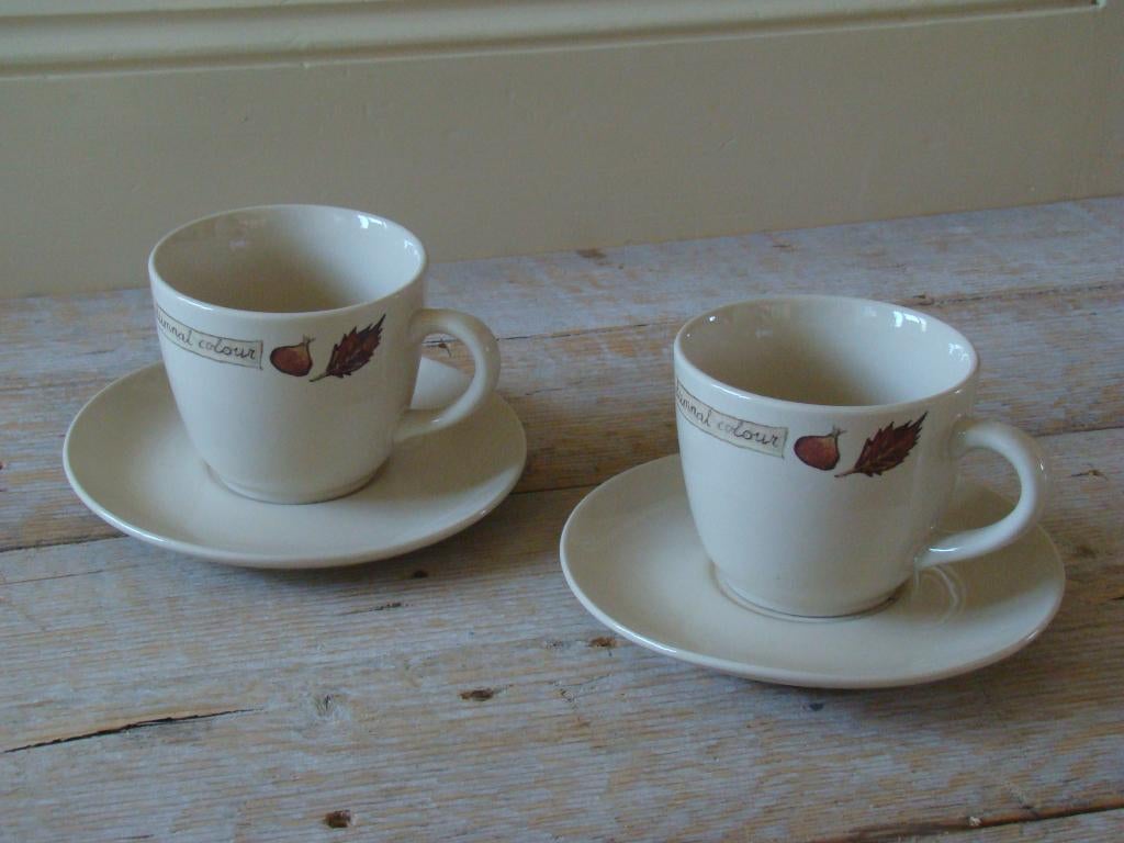 Servies, Jet (by Ter Steege) AUTUMNAL COLORS, z.g.a.n., Huis en Inrichting, Keuken | Servies, Zo goed als nieuw, Overige typen