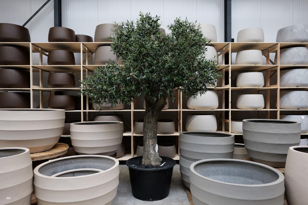 Olijfboom/olijfbomen voor binnen - Kunstolijfboom te koop!, Overige soorten, In pot, 150 tot 200 cm, Halfschaduw
