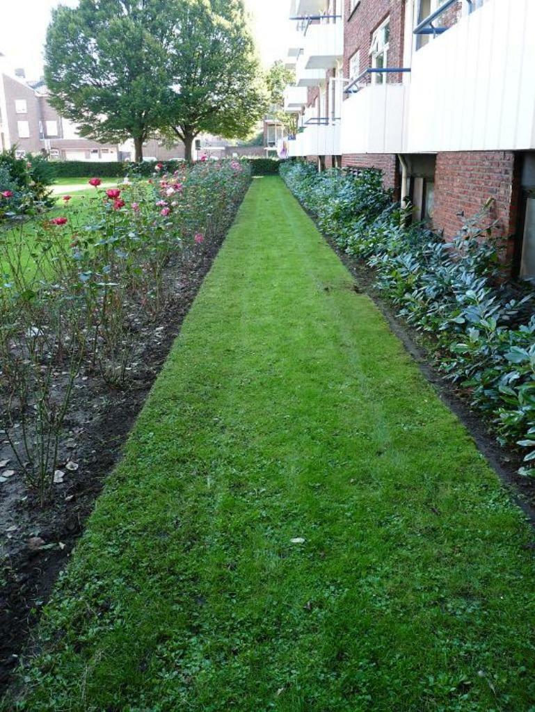 hoveniersbedrijf  Harry de Winkel tuinaanleg onderhoud, Diensten en Vakmensen, Tuinmannen en Stratenmakers, Garantie, Tuinontwerp
