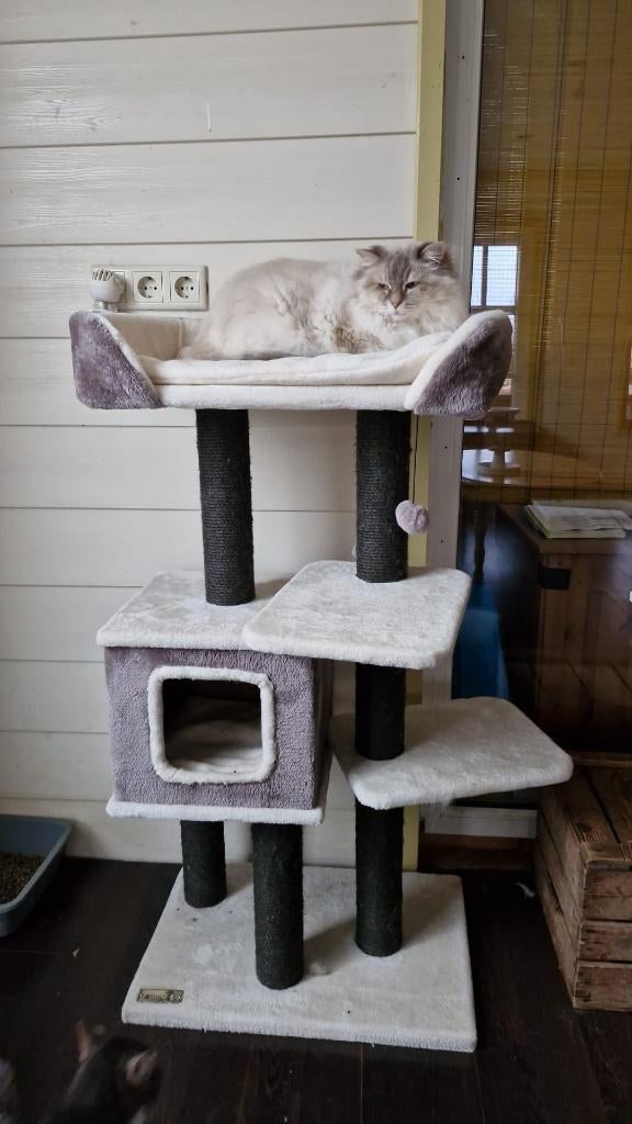 Katten Krabpalen te koop, Ophalen, Nieuw