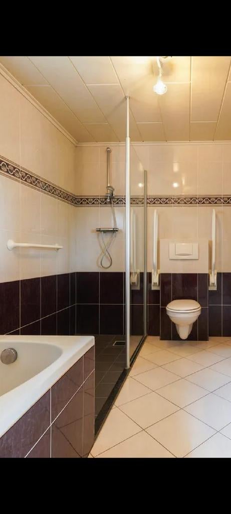Toiletbeugels opklapbaar & veiligheidsgreep douche, Ophalen, Gebruikt