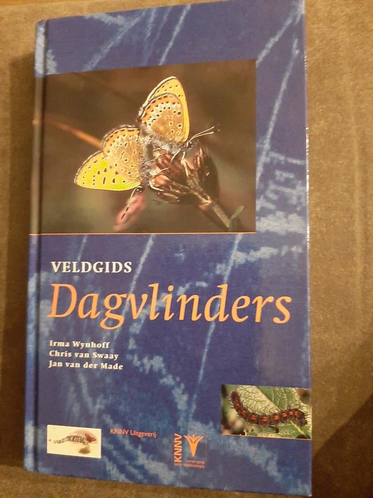 Veldgids Dagvlinders - Irma Wynhoff, Ophalen of Verzenden, Nieuw, Natuur algemeen, Irma Wynhoff