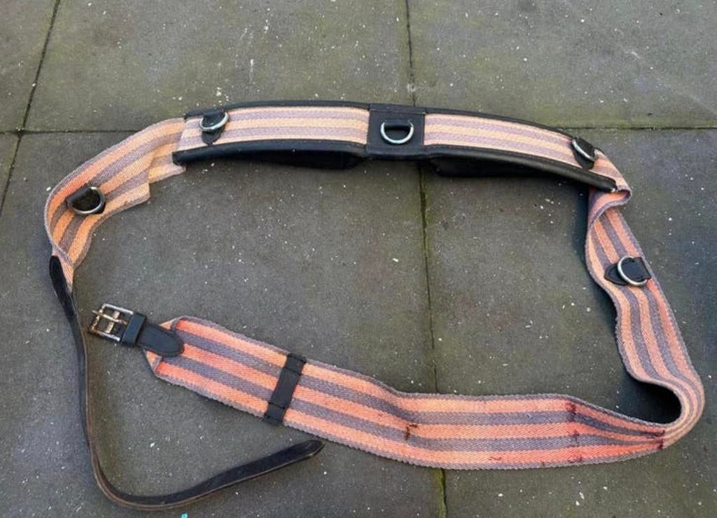 Gebruikte longeersingel 220 cm, Dieren en Toebehoren, Ophalen of Verzenden, Gebruikt, Overige soorten