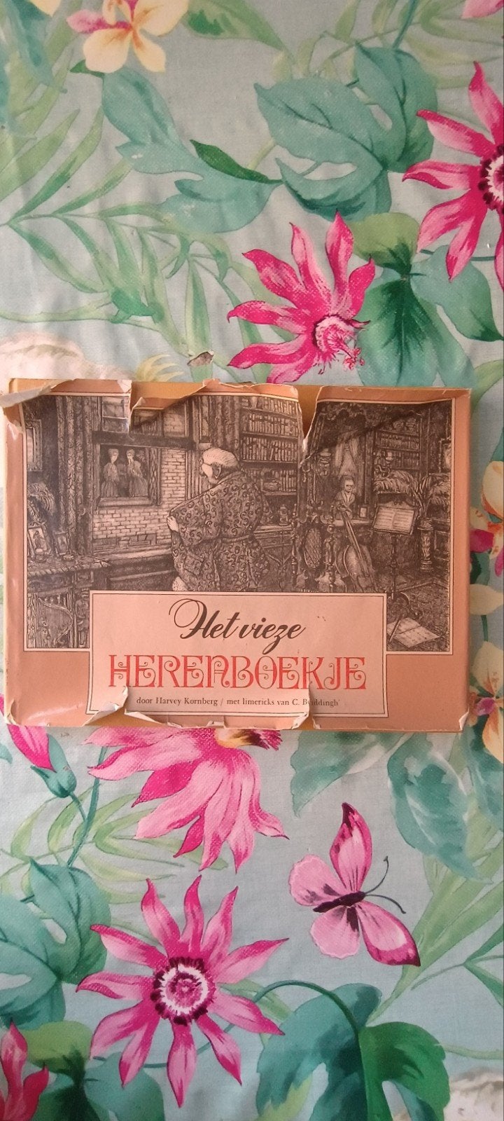 Het Vieze Herenboekje - Harvey Kornberg & C. Buddingh', Boeken, Ophalen of Verzenden, Gelezen, Harvey Kornberg, C. Buddingh'