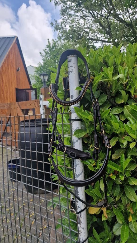 Diverse paarden spullen, Ophalen of Verzenden, Gebruikt