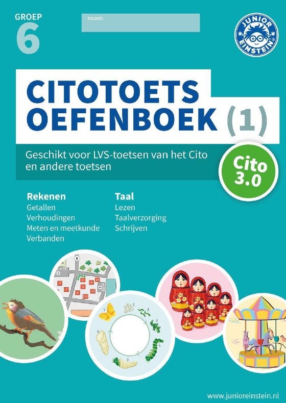 Citotoets oefenboek 1 (groep 6), Ophalen, Zo goed als nieuw, Overige niveaus, Nederlands