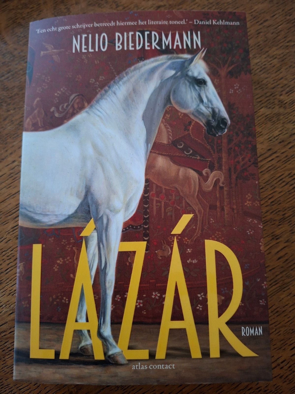 Nelio Biedermann - Lázár, Boeken, Literatuur, Zo goed als nieuw, Ophalen of Verzenden