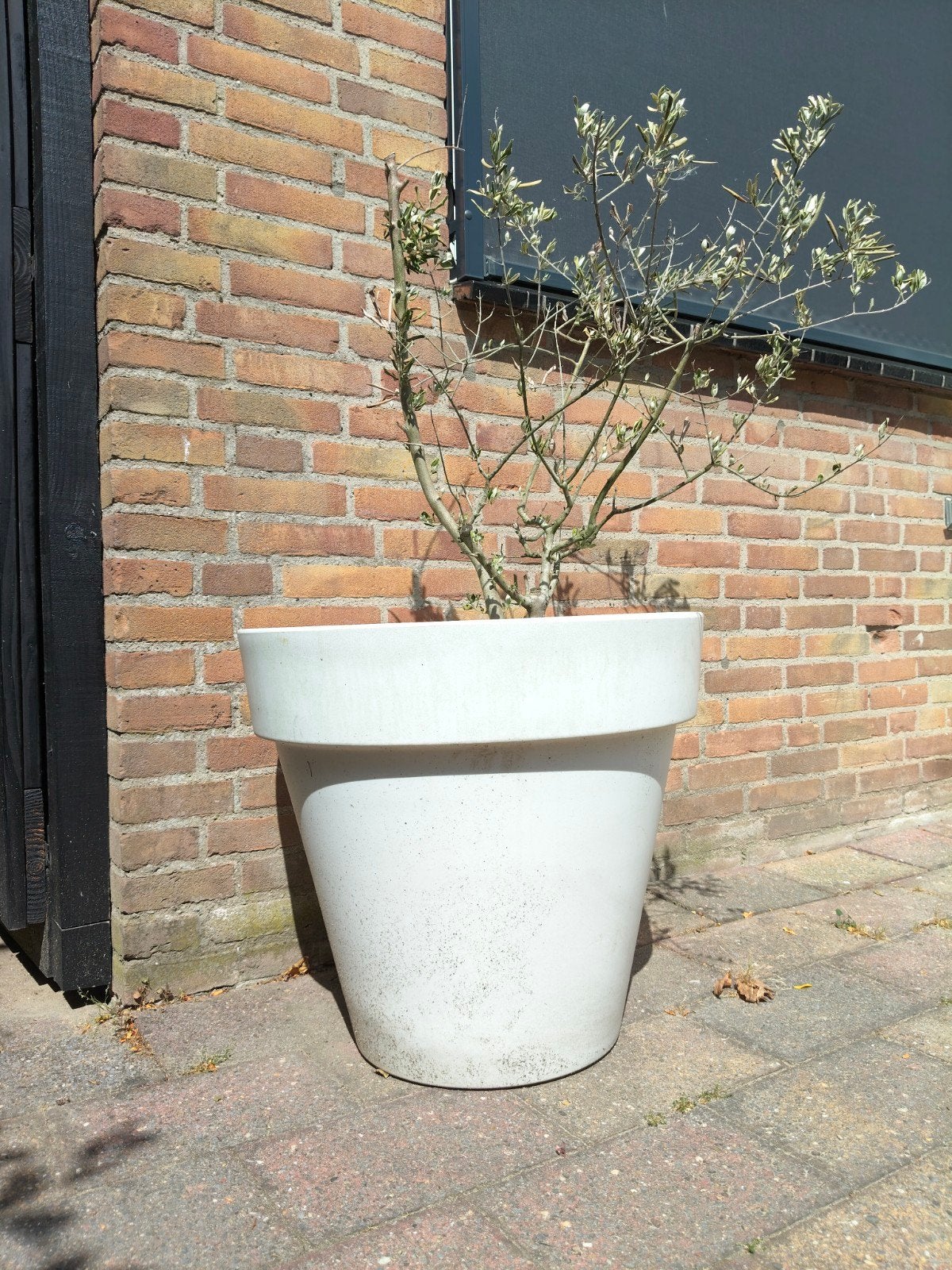 Grote Elho bloempot / plantenbak wit – Ø59 x H53 cm, Ophalen, Kunststof, Gebruikt, Minder dan 30 cm