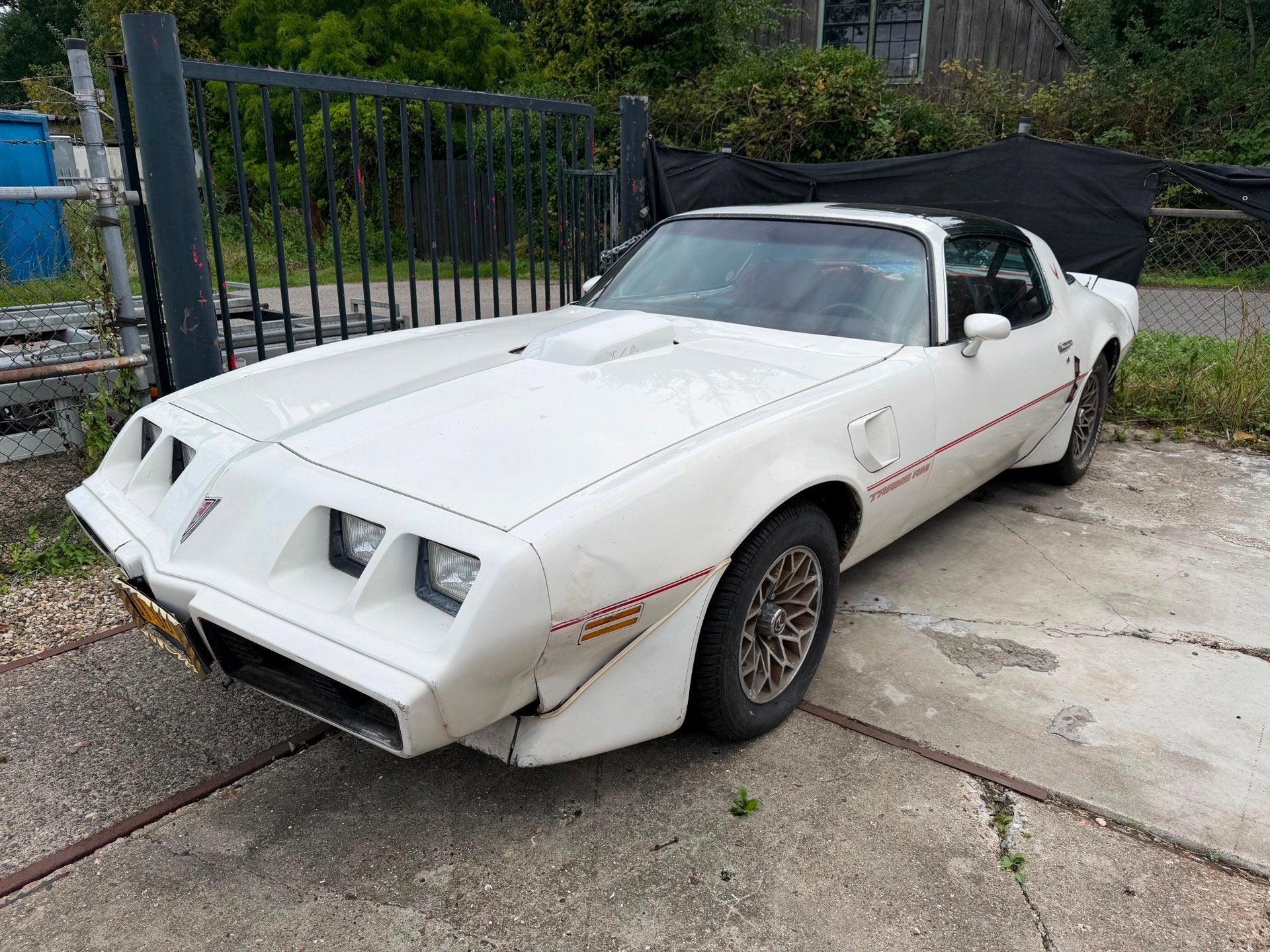 Pontiac FIEREBIRD TRANS AM T.A 6.6 / TARGA / WHITE-RED-EDITI, Automaat, Achterwielaandrijving, Gebruikt, Overige carrosserieën