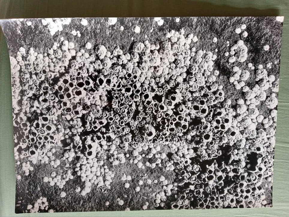 Piet Goede experimentele zero nul foto, Ophalen of Verzenden