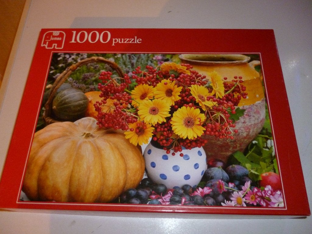 jumbo puzzel 1000 stukjes, Ophalen of Verzenden, 500 t/m 1500 stukjes, Zo goed als nieuw