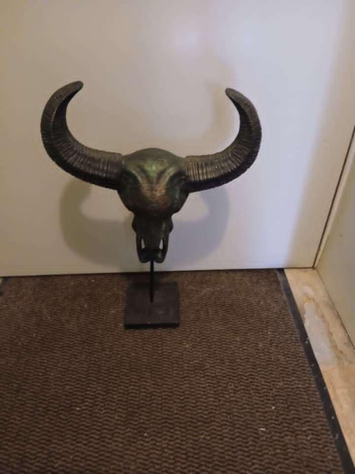Buffel Schedel op Standaard, Ophalen, Gebruikt, Meerkleurig, Kunststof