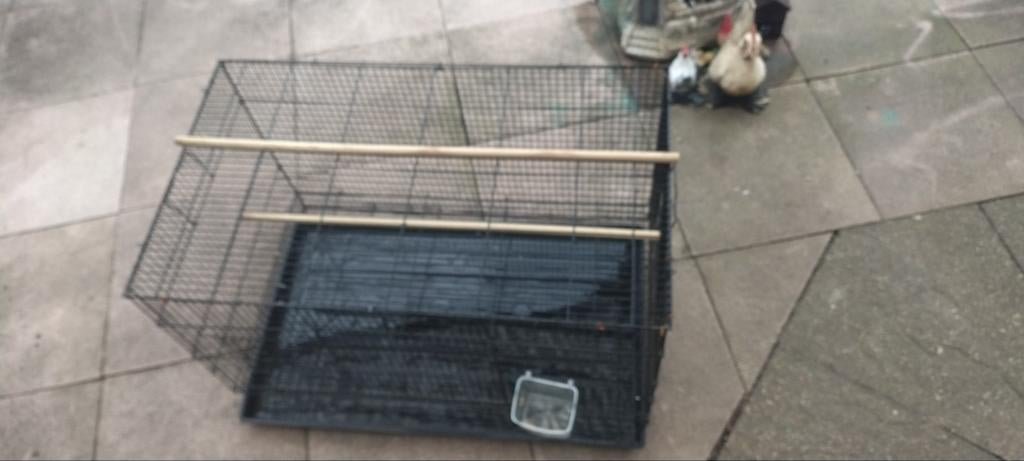 Vogel of hamester kooi nieuw, Dieren en Toebehoren, Ophalen of Verzenden, Nieuw