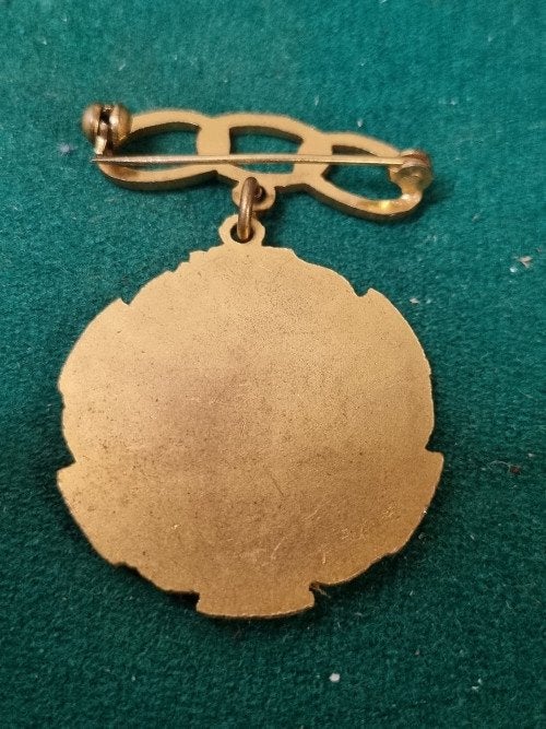 medaille odd fellows 1954, Ophalen of Verzenden